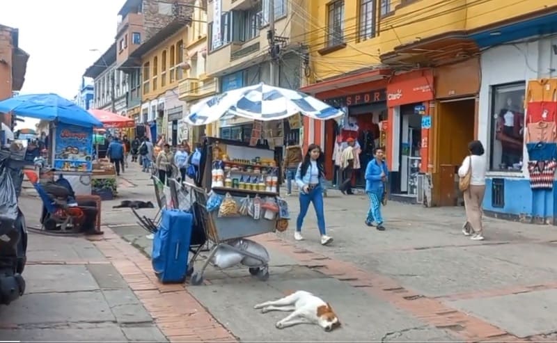 Vendedores informales de Tunja piden casetas para realizar su actividad