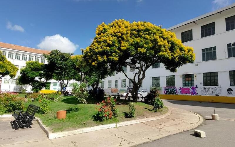 Directivas de la Uptc responden a la protesta de docentes