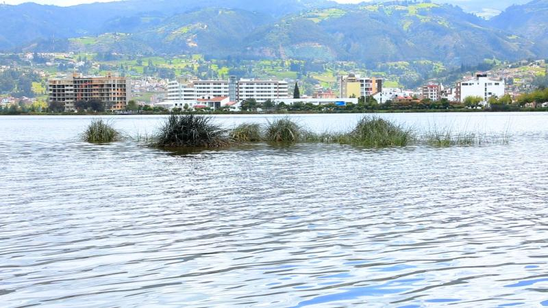 Por mortalidad de peces habrá restricciones en el Lago Sochagota