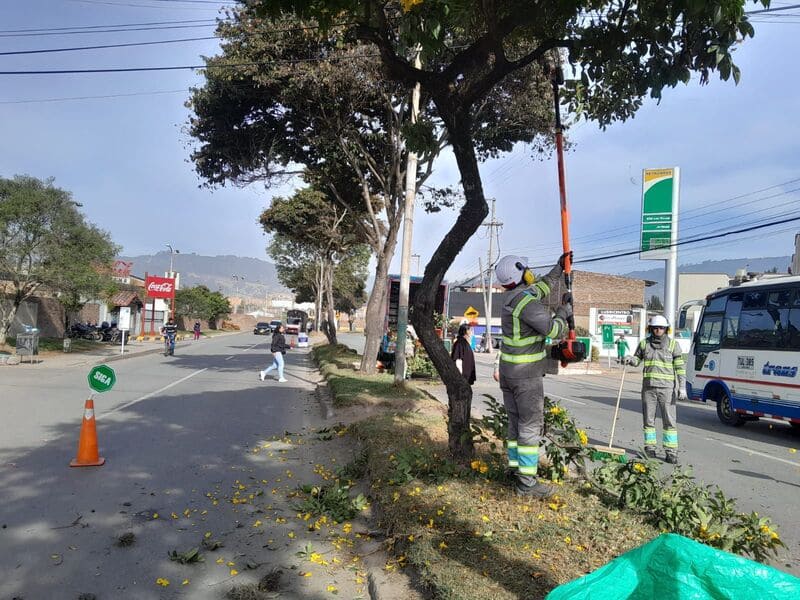 Inicia poda de 4.254 árboles en Duitama
