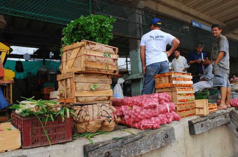 Hay 1.800 toneladas de comida represada en las carreteras boyacenses