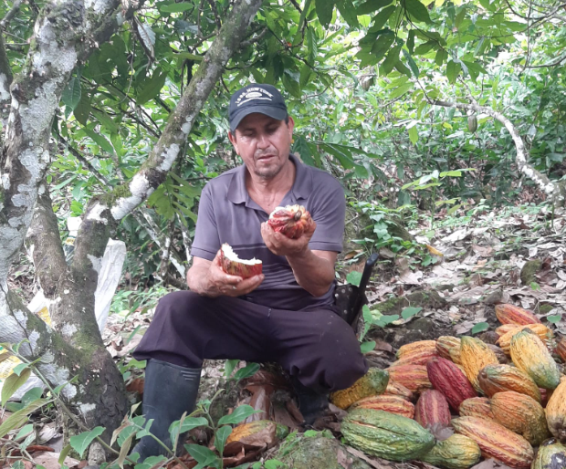 El programa ‘Comercializadoras agroindustriales más productivas’ beneficiará a campesinos boyacenses