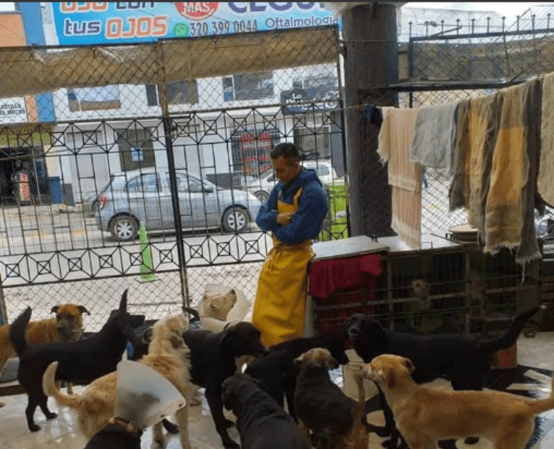 No se cerrará el hogar de paso para animales del CAI de la Dorada en Duitama