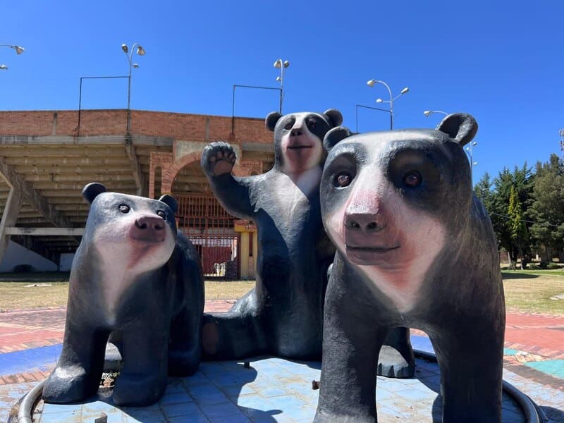 Osos Andinos reemplazan la estatua de César Rincón en la antigua Plaza de Toros de Duitama