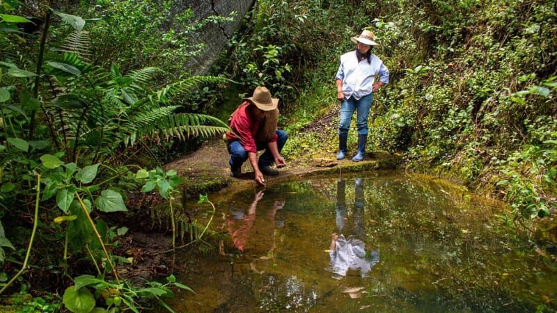 Corpoboyacá protege el agua con la adquisición de 124 hectáreas para conservación, en áreas de importancia estratégica