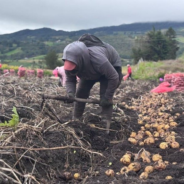 En Samacá alertan por crisis del agro en medio de la celebración del Día del Campesino