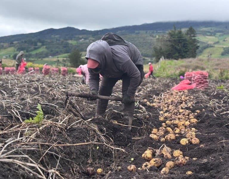 En Samacá alertan por crisis del agro en medio de la celebración del Día del Campesino