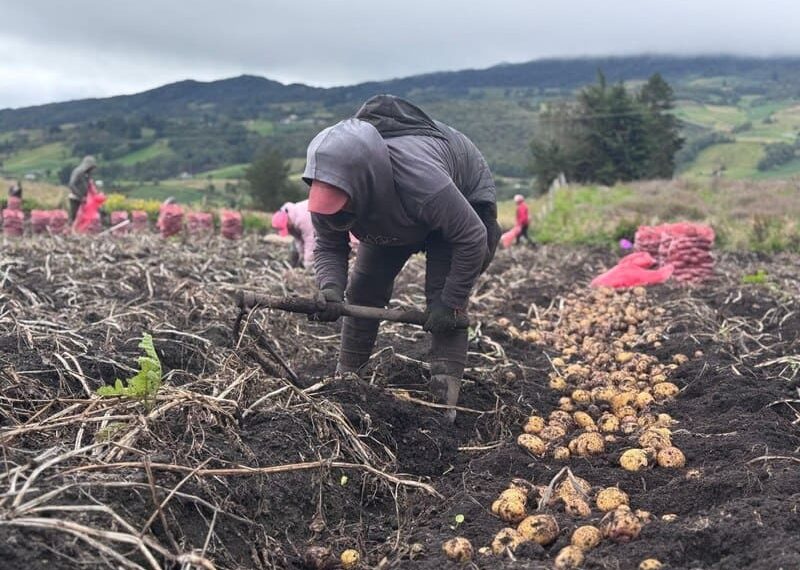 En Samacá alertan por crisis del agro en medio de la celebración del Día del Campesino