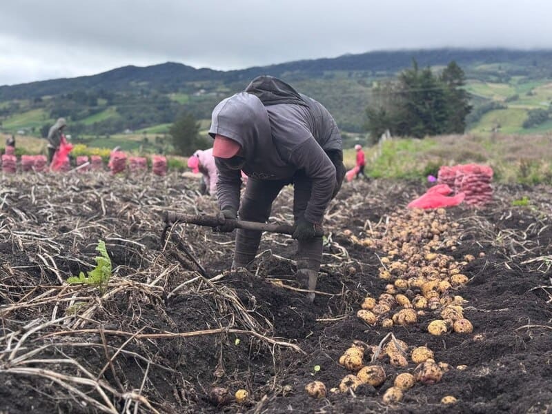 En Samacá alertan por crisis del agro en medio de la celebración del Día del Campesino