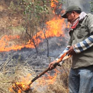 Gobierno suspende quemas abiertas en Colombia para prevenir incendios por El Niño
