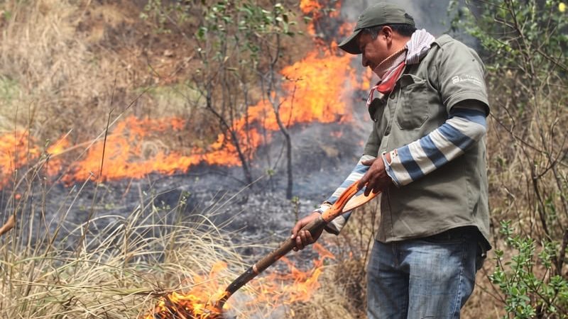 Gobierno suspende quemas abiertas en Colombia para prevenir incendios por El Niño