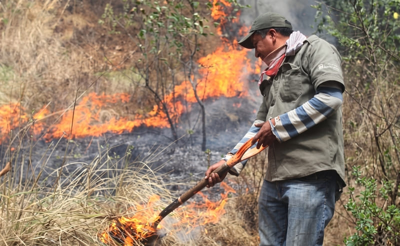 Gobierno suspende quemas abiertas en Colombia para prevenir incendios por El Niño