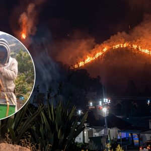 Apicultores arriesgan sus vidas para rescatar colmenas durante la emergencia por incendios en Villa de Leyva