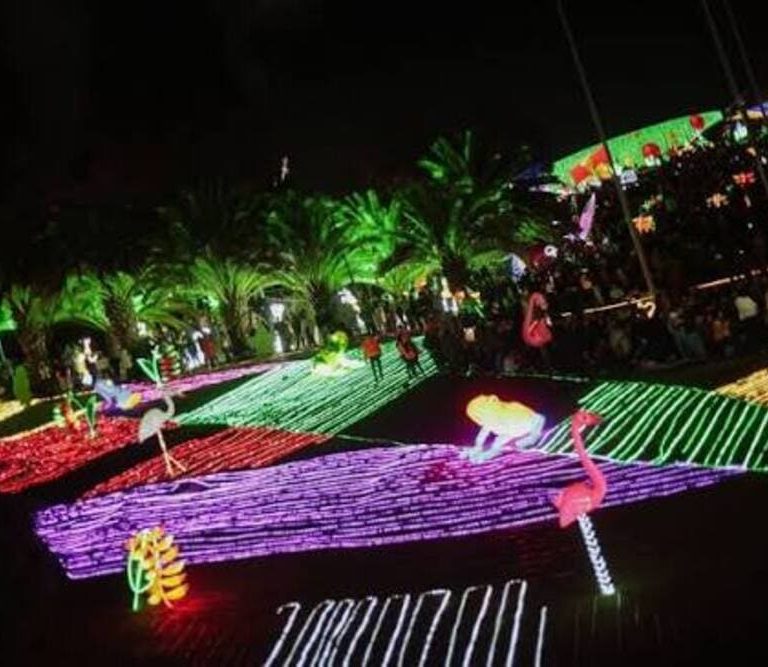 Ante riesgo de desabastecimiento eléctrico, EBSA propone recortar horarios del alumbrado navideño en Colombia